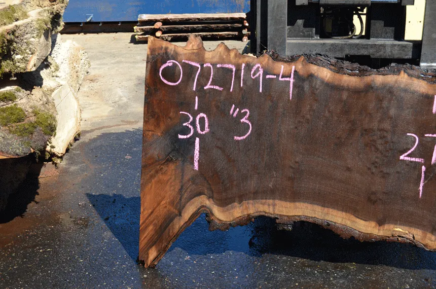072719-04 Oregon Black Walnut