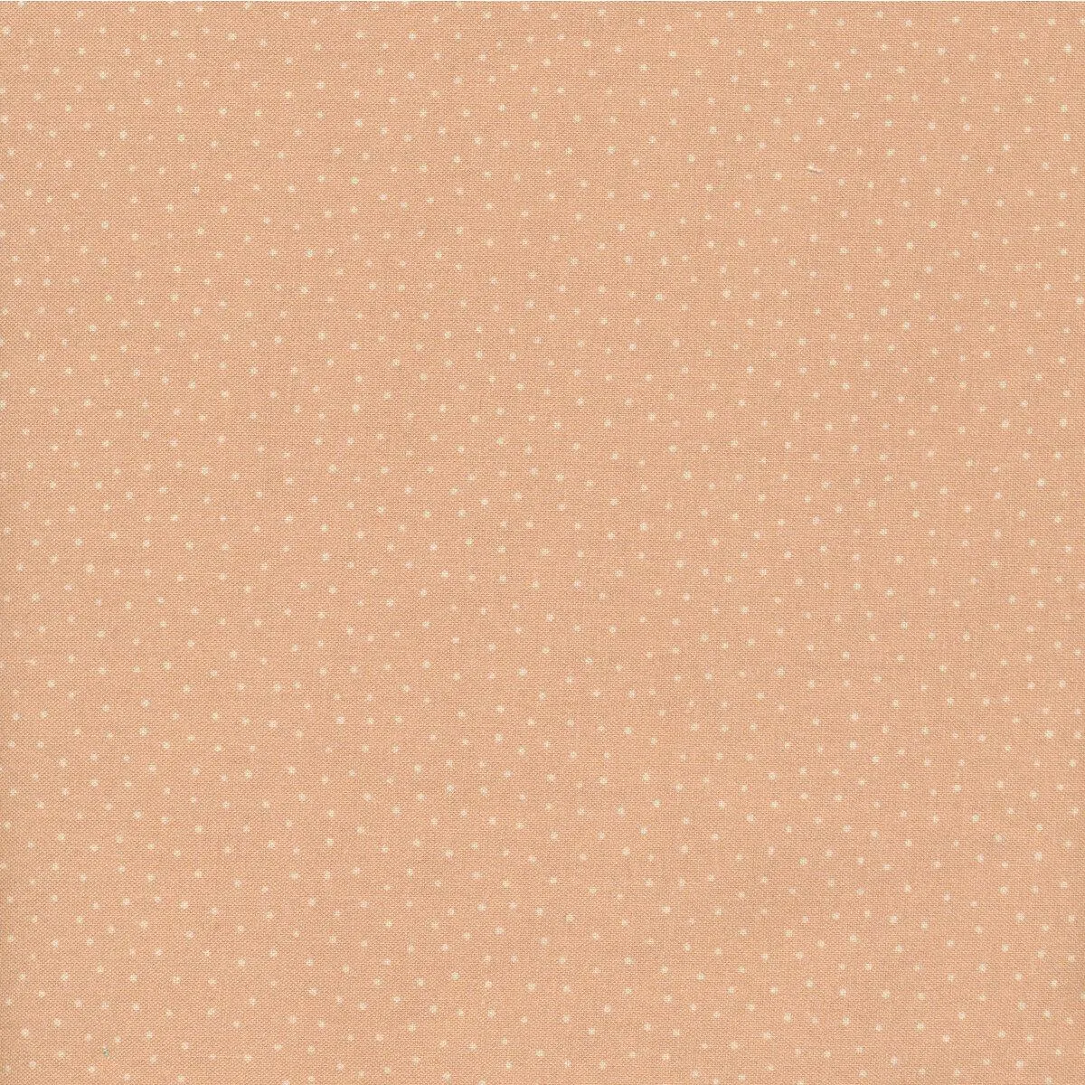 BIRDS OF A FEATHER BLUSH